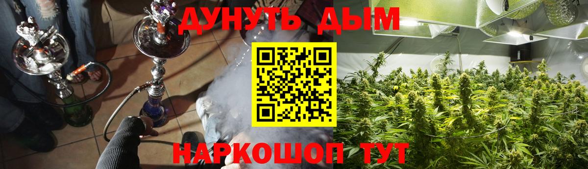 Бошки Шишки индика  Канабис гибрид  Астрахань  Вход с VPN  Бошки марихуана VHQ 